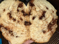 Chocolate Chip