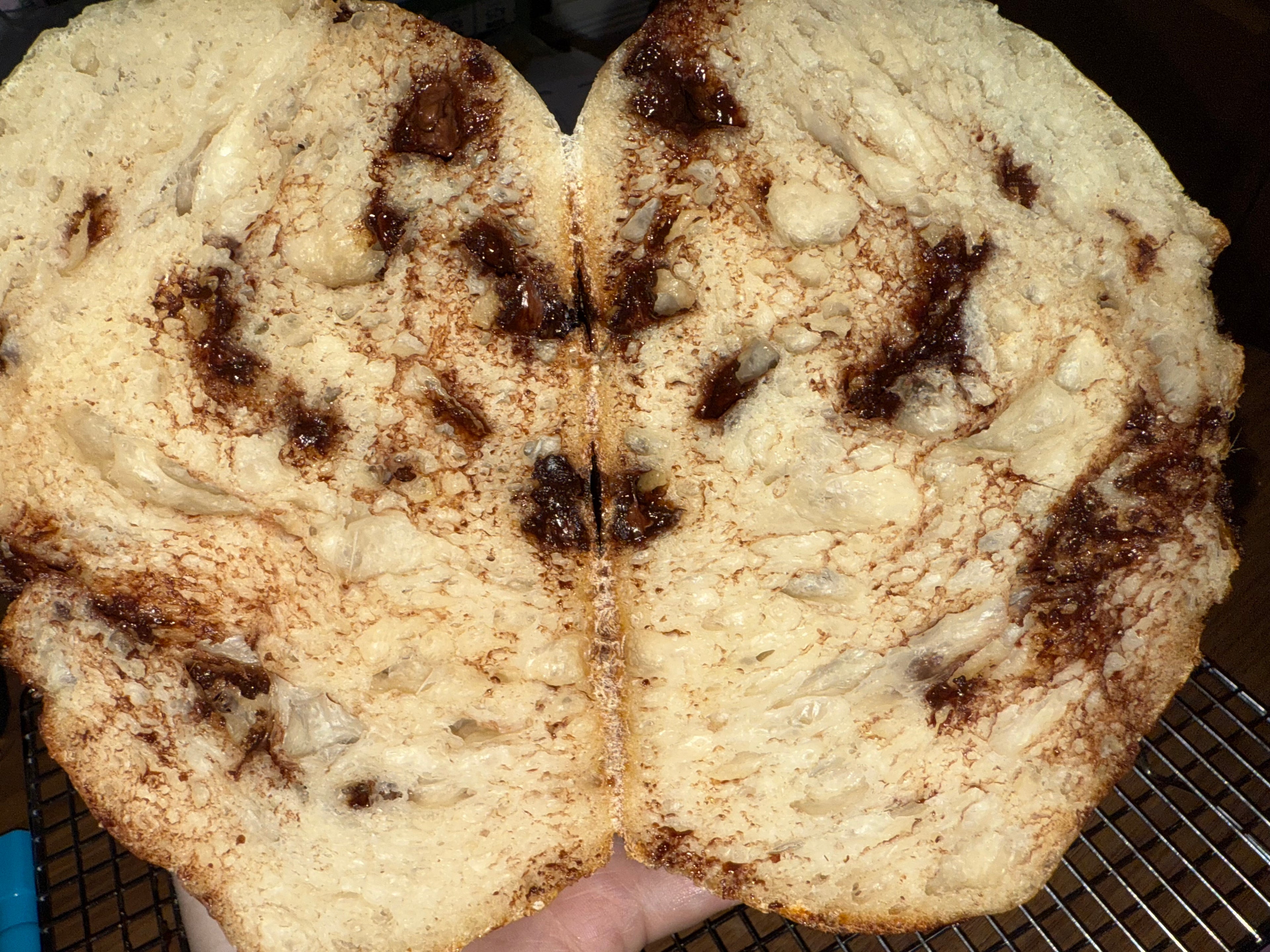 Chocolate Chip